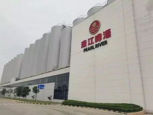 南沙崛起 廣州下一個琶醍，商務信息咨詢新機遇